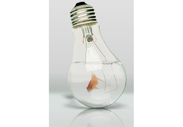 The 100 watt lightbuld as a fish tank