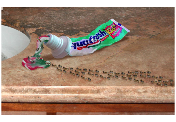 Photo-montage of toothpaste tube